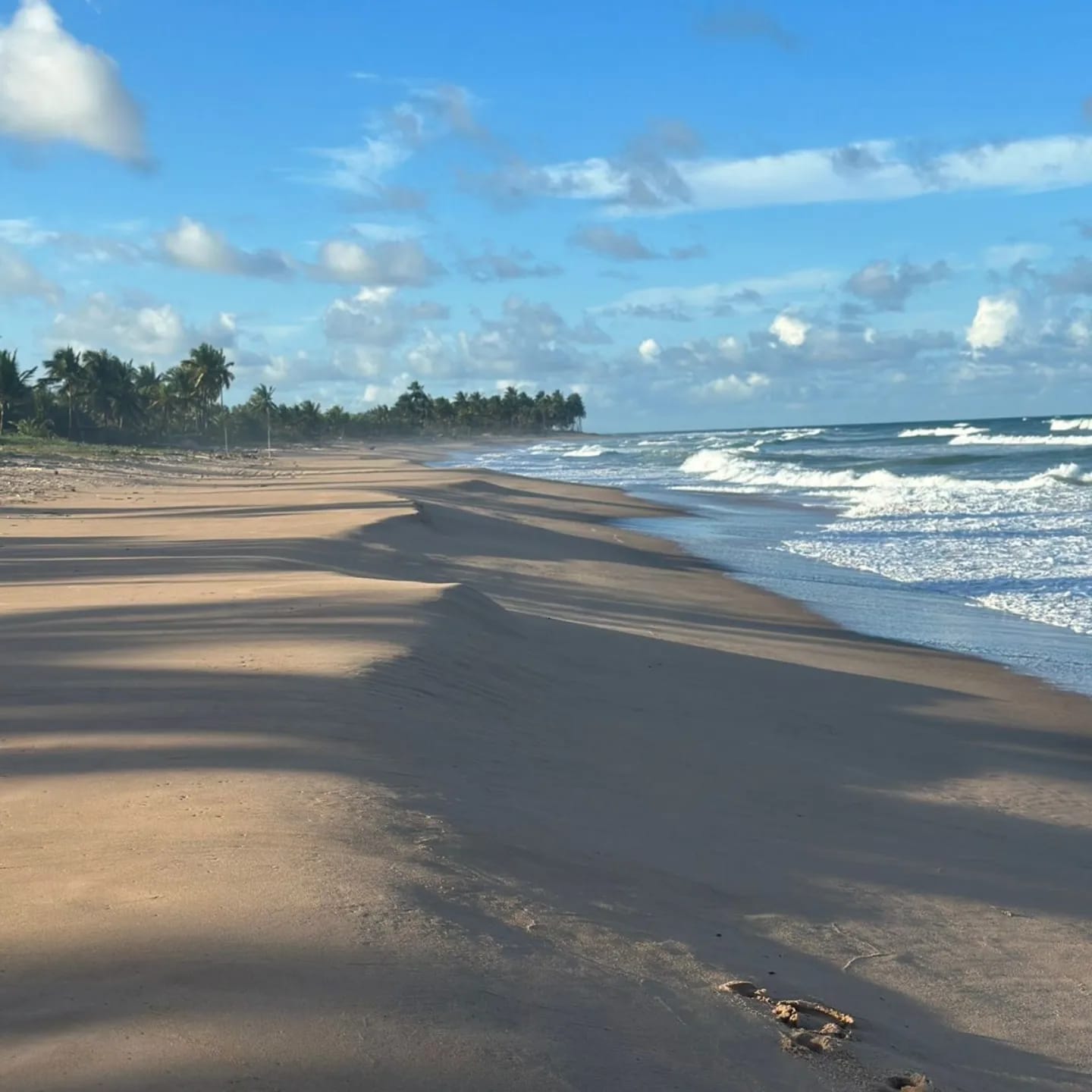 Praia deserta de areia clara com ondas e coqueiral ao fundo