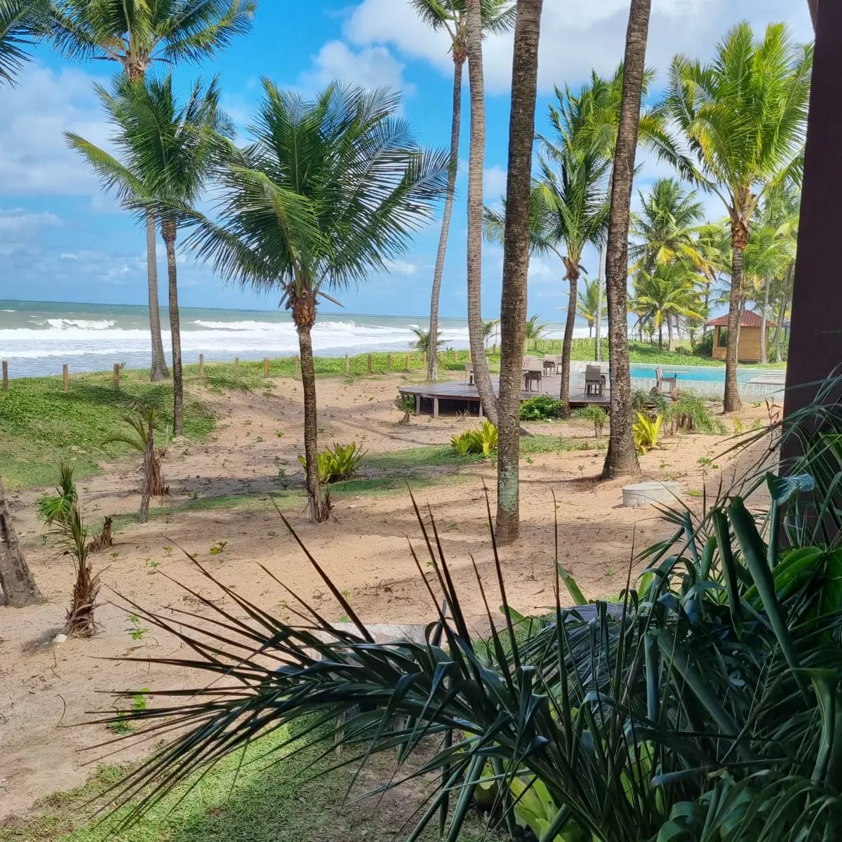 Jardim tropical e acesso à praia com piscina ao fundo