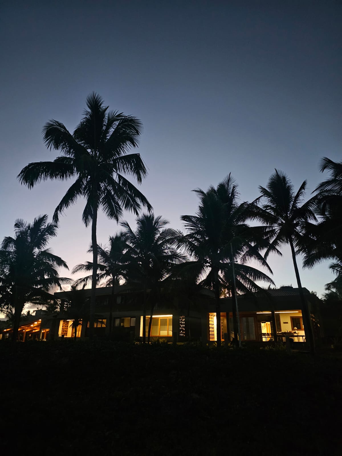 Fachada iluminada da casa ao anoitecer entre coqueirais